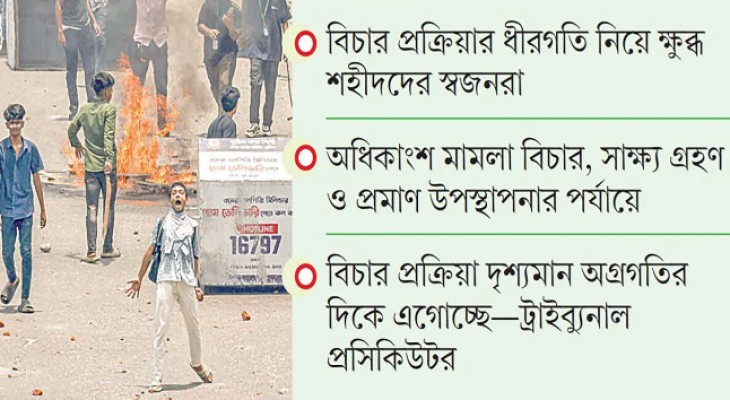 গণহত্যায় জড়িত আ.লীগের শীর্ষ নেতাদের বিচার কতদূর