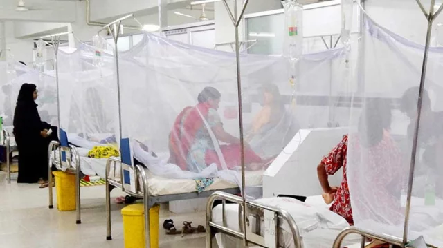 ডেঙ্গুতে আরও দুইজনের মৃত্যু, হাসপাতালে ভর্তি ৩৮৬